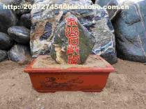 【泰山石敢當(dāng)】盆裝,價(jià)格,廠家,圖片,供應(yīng)商,其他石材石料,泰安市泰山區(qū)五尊石材銷售中心 - 產(chǎn)品庫(kù) - 阿土伯交易網(wǎng)