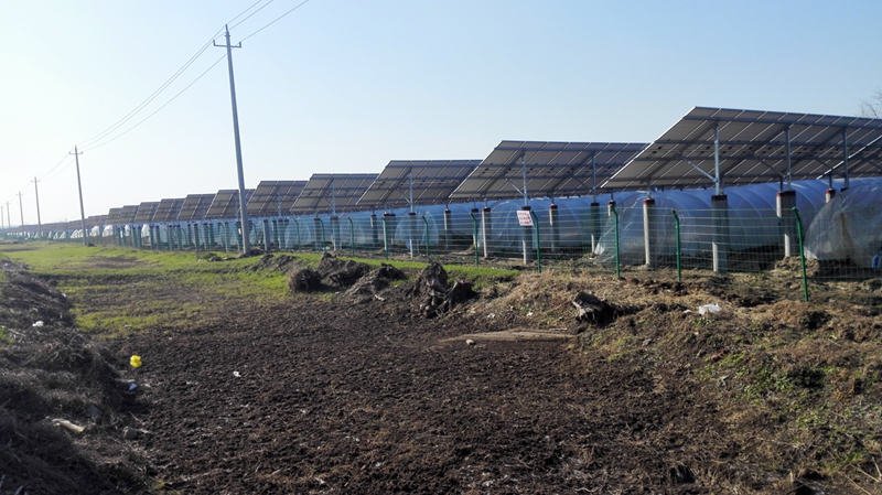 灌南宏耀環保17MW農光互補光伏發電項目位于縣經濟開發區_江蘇文明網